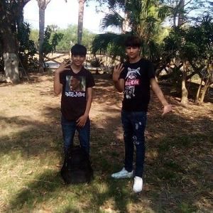 Meet your Posher, Roy